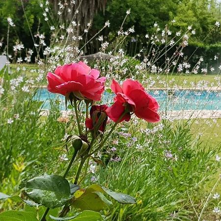 Hopefield Country House Addo Exterior foto